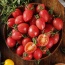 Cà chua cherry đỏ an toàn VietGAP